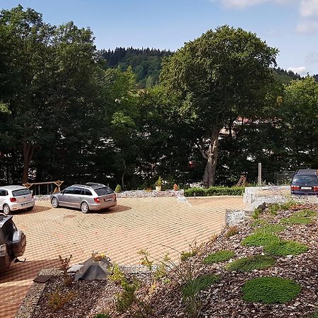 Svoboda nad Úpou Apartments Kalyn מראה חיצוני תמונה